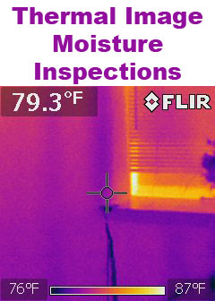 Click Here for Water Damage Moisture Inspections