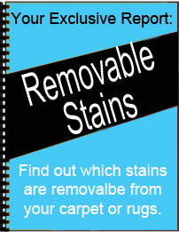 Click Here to get your FREE stain report